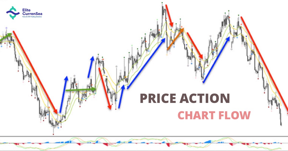 ? Learn How to Use Price Action Flow From Chart ? ECS Elite CurrenSea