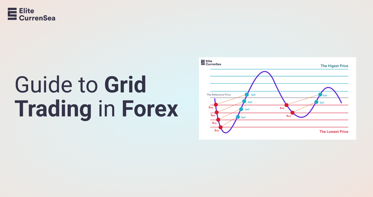 Forex trading grids chartist investing